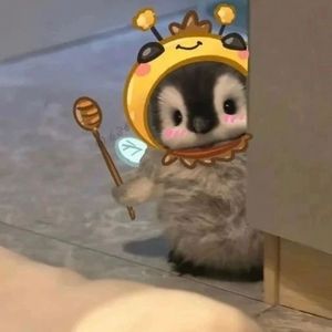 Meet your Posher, Hui